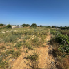 Parcela de 2.000 m2 en Venta Tocino con 4 escrituras independientes